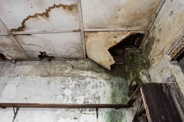 Water Damage Service in Westfield