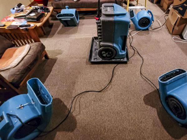 Flood Damage Recovery in Westfield