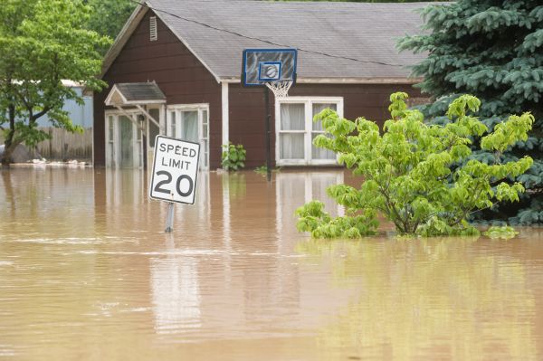 Storm Restoration Service in Westfield