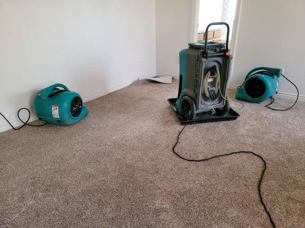 Flood Damage Repair in Westfield
