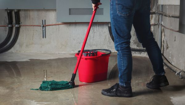 Flooded Basement Cleanup in Westfield