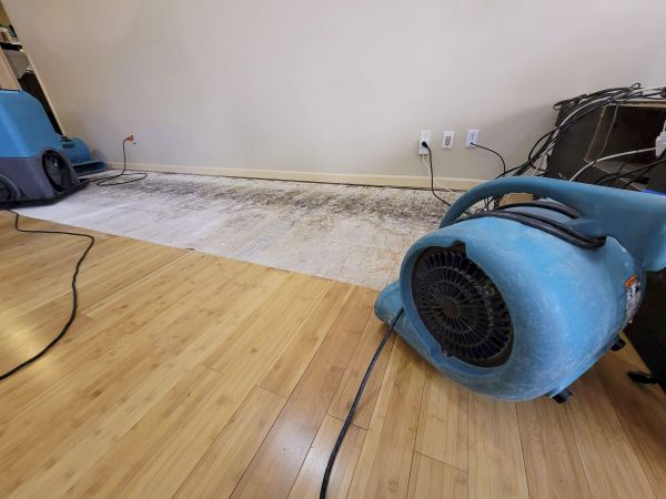 Water Damage Mitigation in Westfield