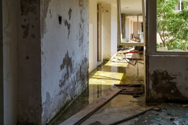 Cost of Water Removal Service in Westfield