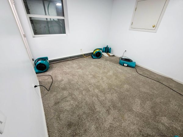 Flood Restoration Service in Westfield