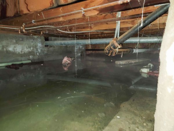 Crawl Space Drying in Westfield