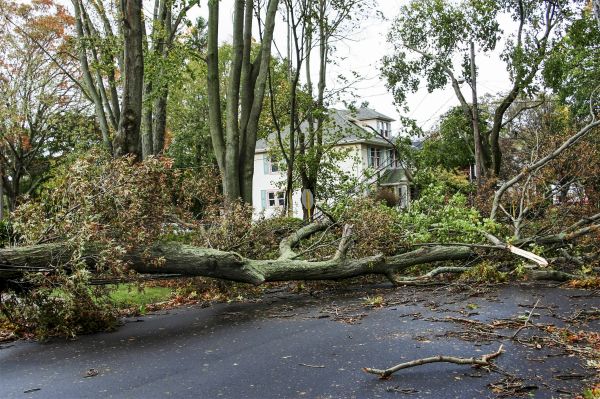 Tornado Damage Repair in Westfield