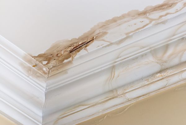 Water Damage Recovery in Westfield